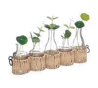 Créateur d'intérieur - Lot de 5 Soliflores & Tiges "Cosy" 40cm Beige