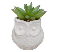 Atmosphera - Succulente Artificielle - Pot en Ciment - H8 cm - Modèle 3