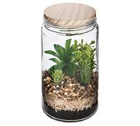 Atmosphera - Terrarium avec Plante Artificielle - Pot en Verre et Couvercle en Bois - H22 cm - Modèle 2
