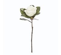 Atmosphera - Tige de Magnolia Artificiel - H70 cm
