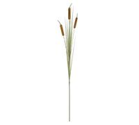 Atmosphera - Tige de Roseau Artificiel - H100 cm