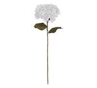 Atmosphera - Tige Hortensia Blanc H 83 cm