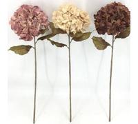 Atmosphera - Tige Hortensia Fria Ass h62