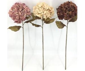 Atmosphera - Tige Hortensia Fria Ass h62