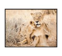 Atmosphera - Toile imprimée Bianca 50x70cm - Lionne et Son lionceau