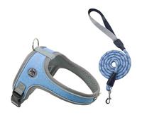 Atmungsaktives Hundegeschirr Set, aus Polyester Mesh, Passend Fuer Hunde & Katzen, Einsatz : Spaziergang, Training & Alltag, Zubehör Alltag Reise Pflege, praktisch, tragbar
