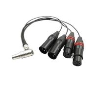 Ato~os Câble d'entrée audio XLR 10 broches coudé à angle droit vers 4 NOUVEAU~RIK Câble d'entrée audio XLR pour enregistreur/moniteur Shog~n (câble Plug Elbow 10 cm)