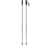 ATOMIC Bureau Sqs Alpine Poles Mixte Adulte, Gris Clair/Gris, 120