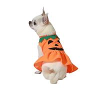 Atosa Déguisement de Citrouille Orange pour Animaux de Compagnie Look Adorable et Festif Célébrations Halloween Esprit Saison Vibrante Design Détails Charmants