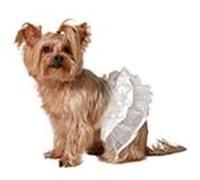 ATOSA déguisement pour animal de compagnie tutu blanc