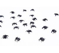 ATOSA sachet mouches noires halloween 24 unités