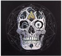 Atreyu - in Our Wake-Ltd/Deluxe [Import]