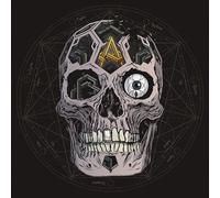 Atreyu In Our Wake (Vinyl) 12" Album Picture Disc
