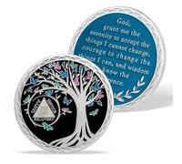 AtSKnSK 1 à 20 ans sobriété Pièce de monnaie douze mois puces AA et médaillons sobriété Cadeaux pour femmes hommes alcooliques anonyme dépendance récupération cadeau (9 ans)
