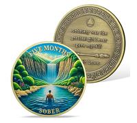 AtSKnSK 5 mois de sobriété Pièce de monnaie de 1 à 12 mois de sobriété Reborn Sober HA NA AA Chips rétablissantes Médaillons Narcotiques Alcooliques Cadeaux anonymes pour hommes et femmes (5 mois)