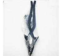 Attache Arrière GIVI 5117fz Top Case Monokey/Monolock BMW R1200/1250 R/RS