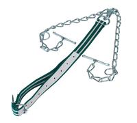 Attache-bovins standard avec châine double Kerbl Vert 130x4 cm