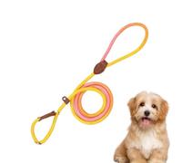 Attache Extérieure pour Chien, Corde d'Éducation en Nylon Renforcée pour Chiot, Accessoire Anti-Fugue pour Activités Extérieures Toutes Tailles Bonheur Santé