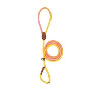 Attache Extérieure pour Chien | Laisse D'éducation Pour Chiot En Nylon | Corde Anti-Traction, Accessoires pour Augmenter le Bonheur des Chiens de Toutes Tailles pour la Marche, Course, Randonnée et Ca