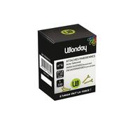 Attache parisienne en boite de 100 Tête ronde et bout rond 20 mm