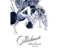 Attachements
