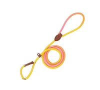 Attaches pour Chiens | Corde d'Éducation en Nylon Renforcée pour Chiot - Accessoire Anti-Fugue pour Activités Extérieures Toutes Tailles Bonheur Santé