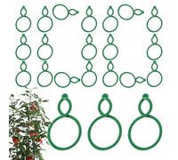 Attaches pour Vignes 100 Pièces Support De Tomate Universel Flexible Et | Attaches de Traction pour Légumes et Vignes Pour Intérieur et Extérieur, Raisins, Fruits, Fleurs,