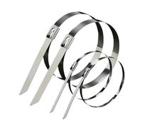 Attaches zippées en acier inoxydable Lot De 100 Attaches De Câble En Acier Inoxydable, De Clôture À Maillons De Chaîne, Métalliques 4,6/7,9/10/12 Mm(7.9mm,600mm)