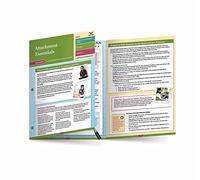 Attachment Essentials: A Mental Health Quick Reference Guide