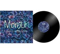 Attack Of The Grey Lantern