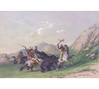 Attaquer l'ours grizzli. Les Indiens montés attaquent un ours avec des lances et une hache. De Catlin's North American Indian Portfolio publié à Londres 1844 par l'artiste aventurier américain George