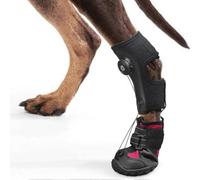 Attelle à sangle pour patte tombante tout-terrain, sans articulation, pour chiens traînant les pattes - Chaussures correctives d'extér