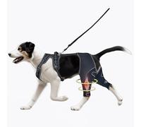 Attelle ACL pour patte arrière de chien - Garde les articulations au chaud et stable - Support de jambe réglable amélioré - Pour le soin des plaies et la prévention des léchures (noir, L)
