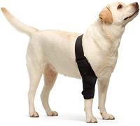 Attelle de genou pour chien - Attelle de jambe arrière déchirée - Support de hanche pour une meilleure récupération avec le LCA - Attelle de genou réglable pour chiens - Noir - Taille XS