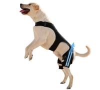 Attelle De Hanche Canine | Manchon Articulaire Ajustable - 4 Stabilisateurs Métalliques Soutien Hanche,pour Marche Randonnée Exercice Activités Extérieures Parc Plage Voyage