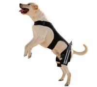 Attelle De Hanche Canine Manchon De Genou Ajustable