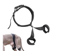 Attelle de hanche pour chien - Aide au levage de la hanche, ceinture respirante pour correction de la hanche, accessoires pour chien, harnais auxiliaire pour la maison, la marche, les voyages sortants