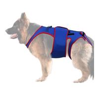 Attelle de Hanche pour Chien - Support Dorsal IVDD