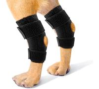 Attelle de Jambe arrière pour Chien, empêchant Le léchage, Courroie de Fixation, Support de Ressort, Support de Jarret arrière pour Chien, Manchon de Soins pour Les blessures de la Jambe(L)