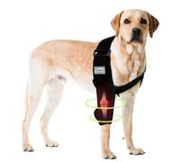 Attelle de jambe avant pour chien pour dysplasie du coude, luxation de l'épaule, hygroma, protège le coude des plaies, évite le cône de honte, manchon de récupération pour chien résistant à l'abrasion