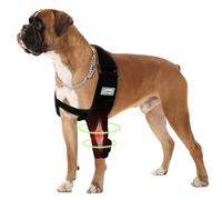 Attelle de jambe avant pour chien pour dysplasie du coude, luxation de l'épaule, hygroma, protège le coude des plaies, évite le cône de honte, manchon de récupération pour chien résistant à l'abrasion