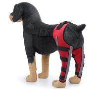 Attelle de Jambe pour Chien - Attelle Réglable pour la Hanche et la Jambe du Chien pour le Ligament Croisé - avec Bandes de Soutien et Bandes Réfléchissantes