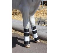 Attelle de jambe pour veaux - 1 pièce pour les contractures tendineuses