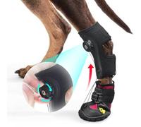 Attelle de Pied tombante avec Bobine (Pas de Sangle d'articulation) pour Chien - Chaussures correctrices pour soulever Les Orteils en Toute sécurité pour Traiter Les problèmes de Pied, l'arthrite, et