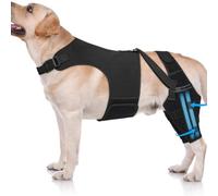 Attelle de soutien genou et hanche ajustable pour chien avec 4 stabilisateurs aide à la récupération des blessures au LCA aux ligaments soulage douleur corrige luxation rotule adaptée toutes les races