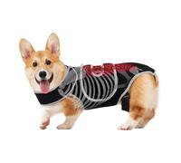 Attelle dorsale pour chiens | Gilet de stabilité de la colonne vertébrale réglable - Petit harnais de soutien - pour la maison, l'extérieur, les voyages, les escaliers, la marche, le jogging