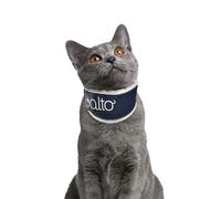 Attelle orthopédique pour chat - Collier de soutien de la colonne cervicale pour chats - Léger, réglable, stabilisateur de cou rembourré doux pour la récupération d'une blessure, post-chirurgie