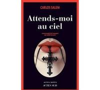 Attends-moi au ciel Carlos Salem (Auteur), Judith Vernant (Traduction)