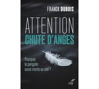 Attention chute d'anges - Pourquoi le pangolin aussi monte au ciel ? DUBOIS FRANCK (Auteur)
