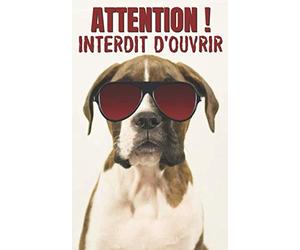 Attention ! Interdit d'ouvrir: carnet de mots de passe | Vos adresses internet et codes secrets en sécurité - français, petit format, index alphabétique - couverture humour chien